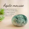 Agate mousse Arc-en-ciel